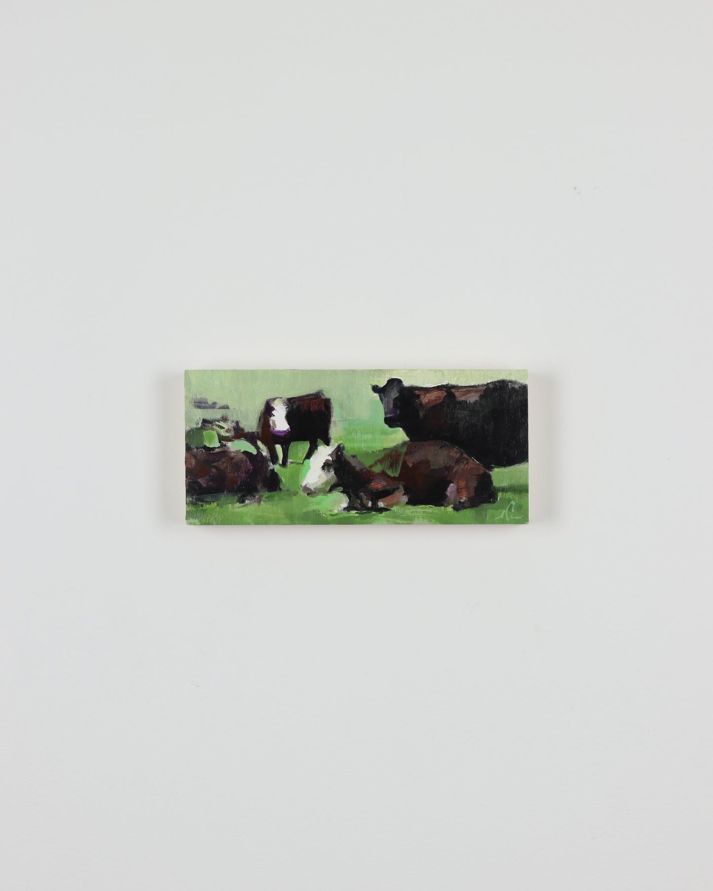 Spring Angus