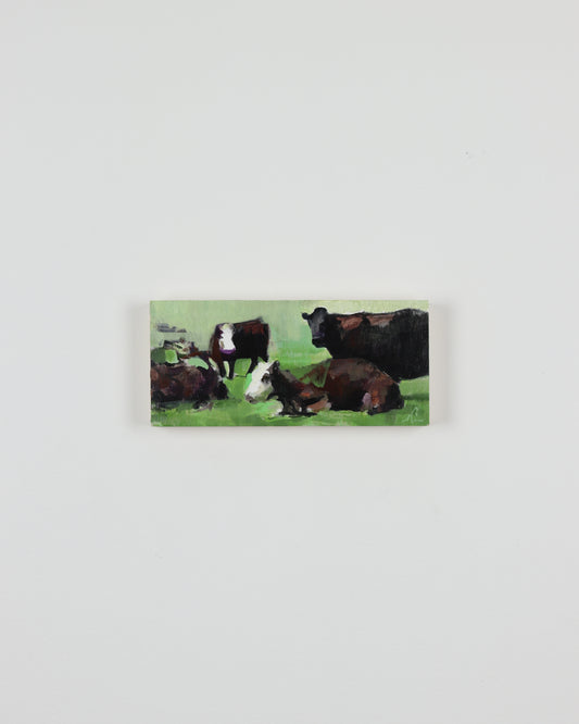 Spring Angus