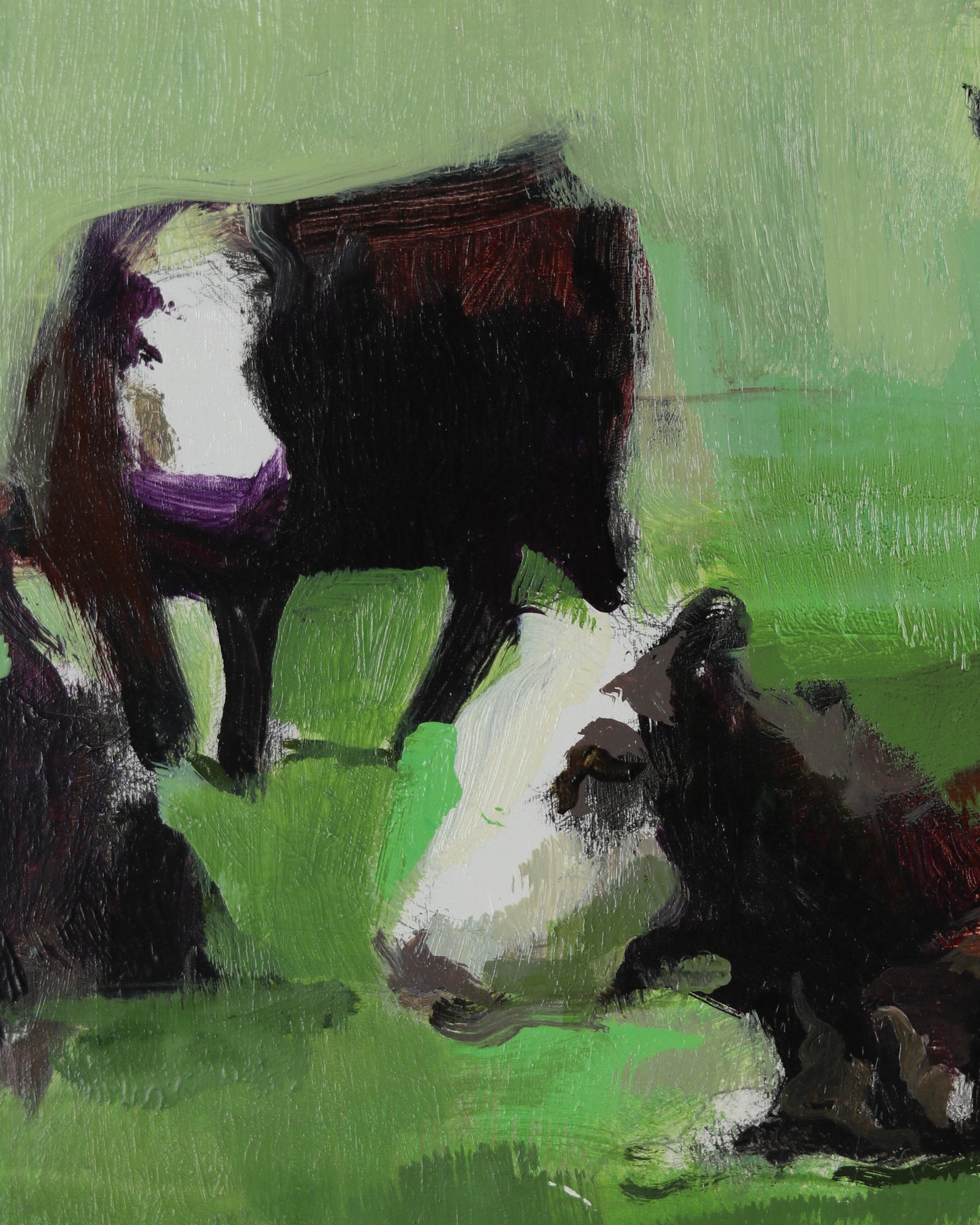 Spring Angus