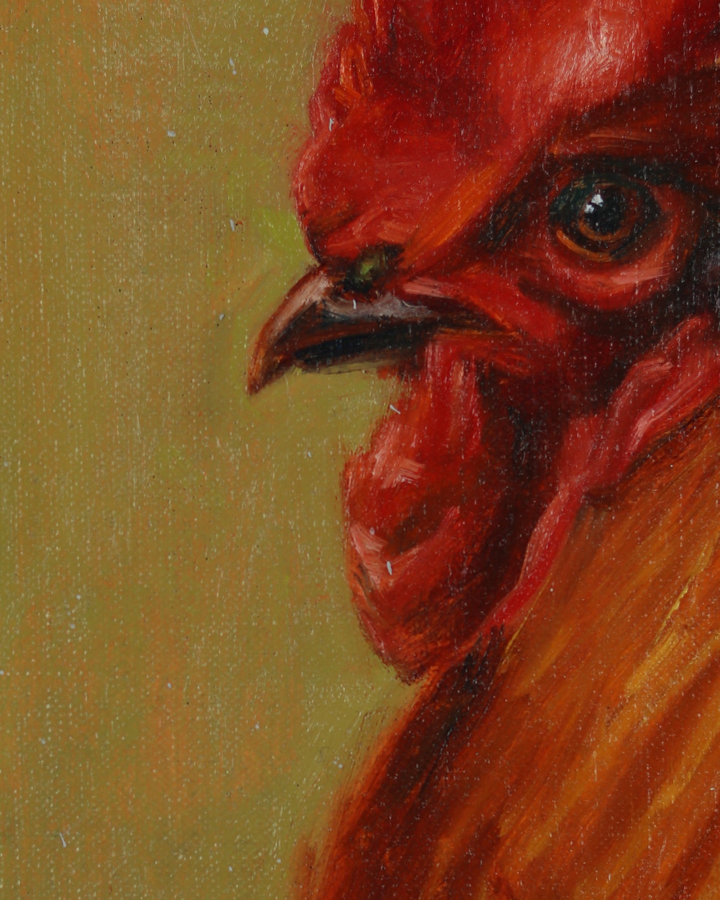 Rooster