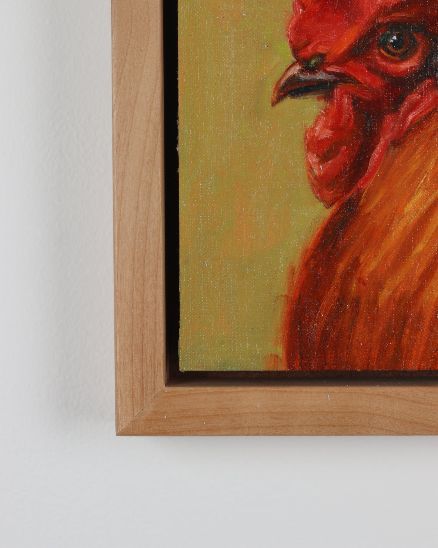 Rooster