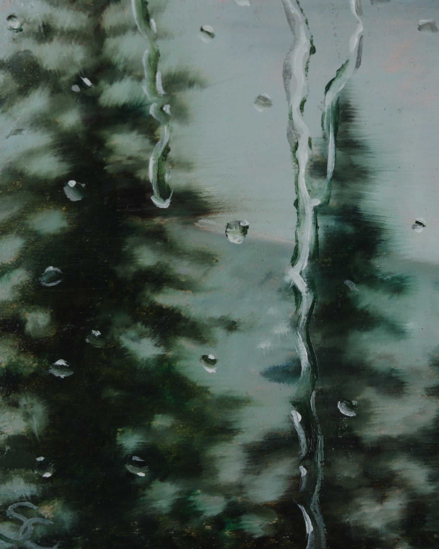 Rainy Pines 6