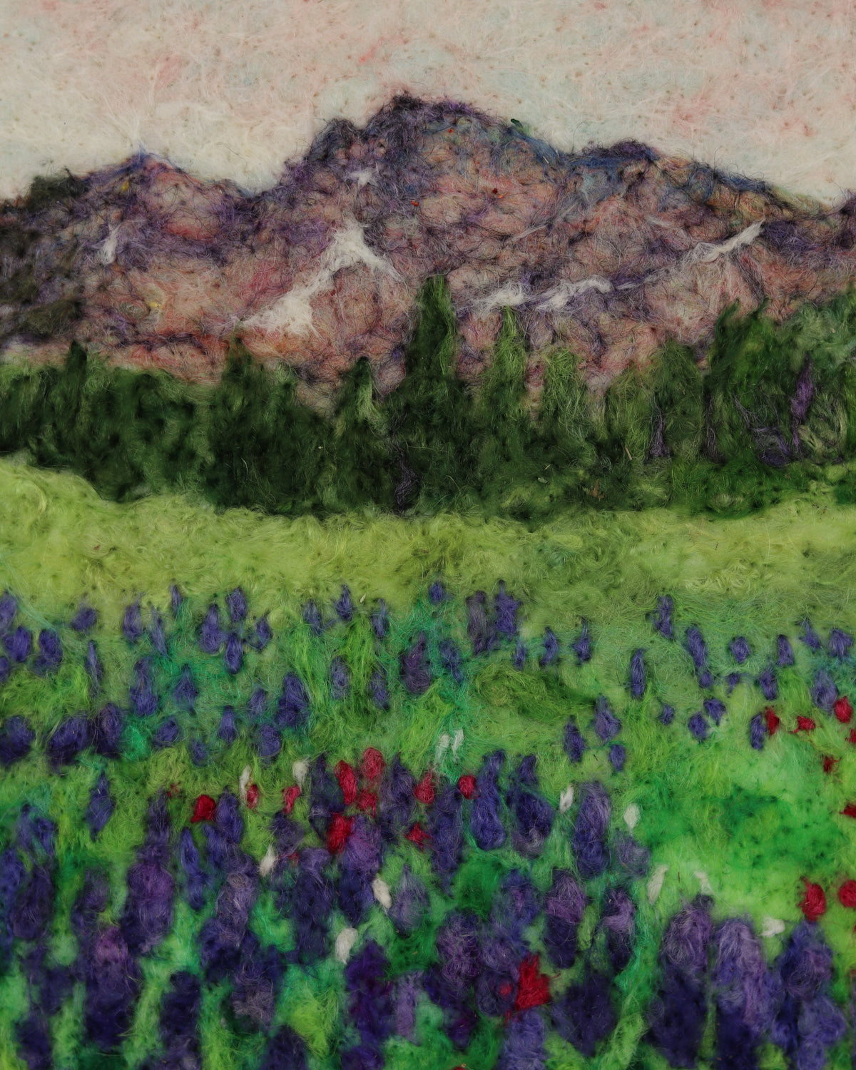 Forever Changing Albion Basin