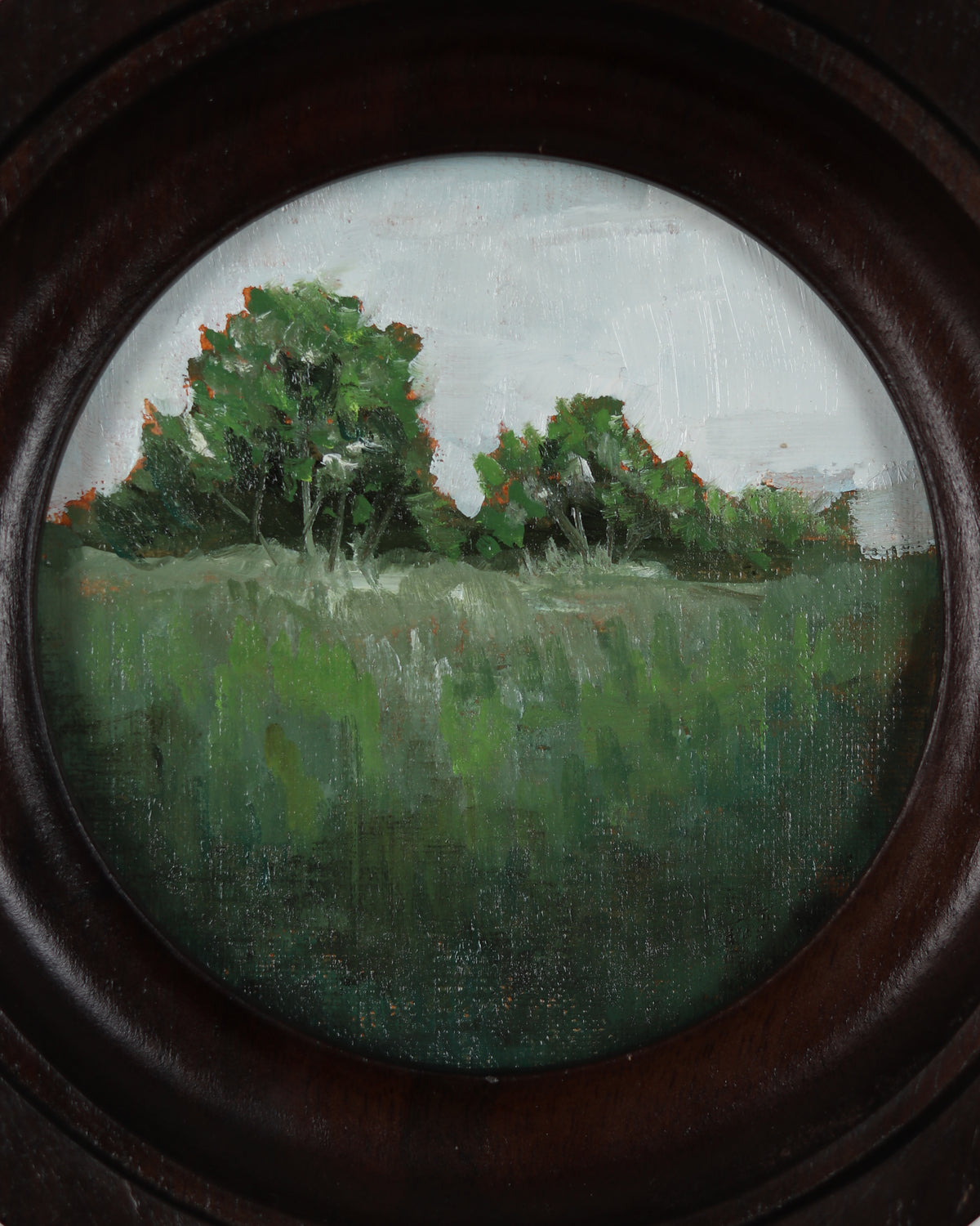 Old Meadow