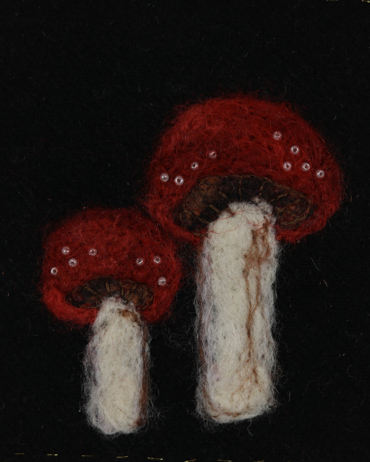 Mushrooms