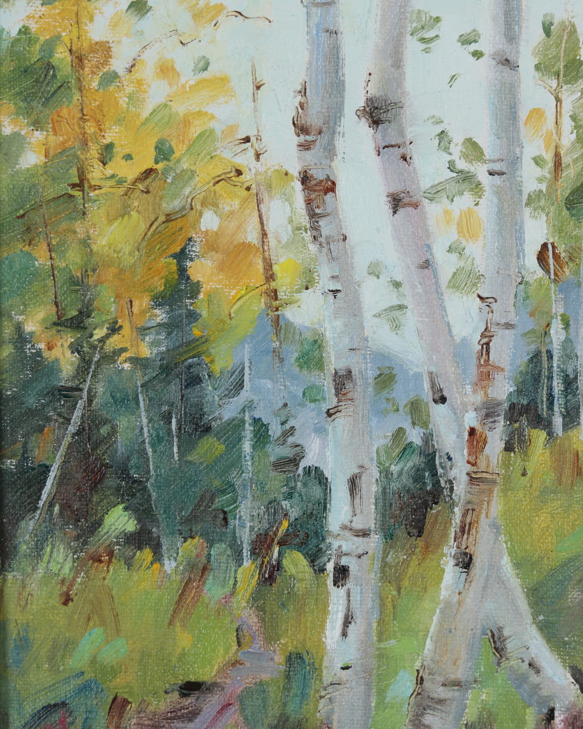Silver Fork Aspens