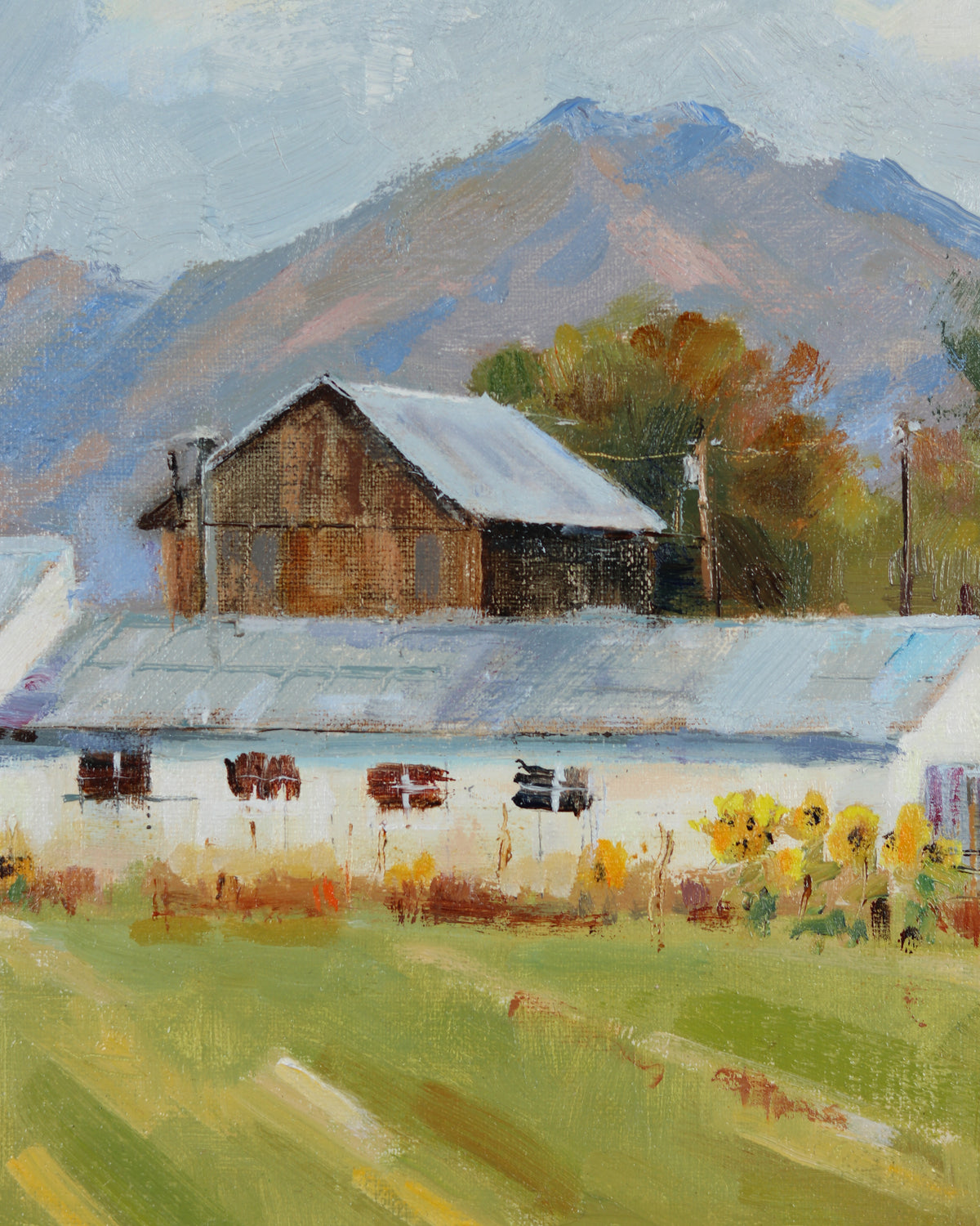Swiss Homestead Midway