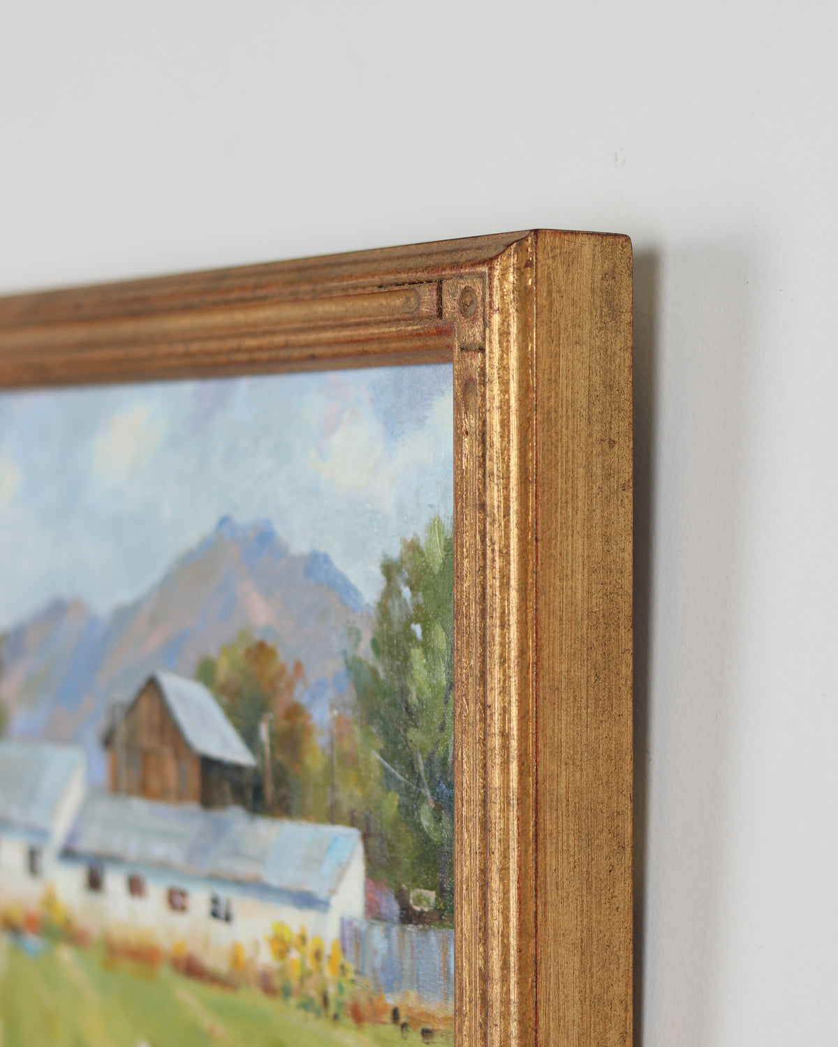 Swiss Homestead Midway