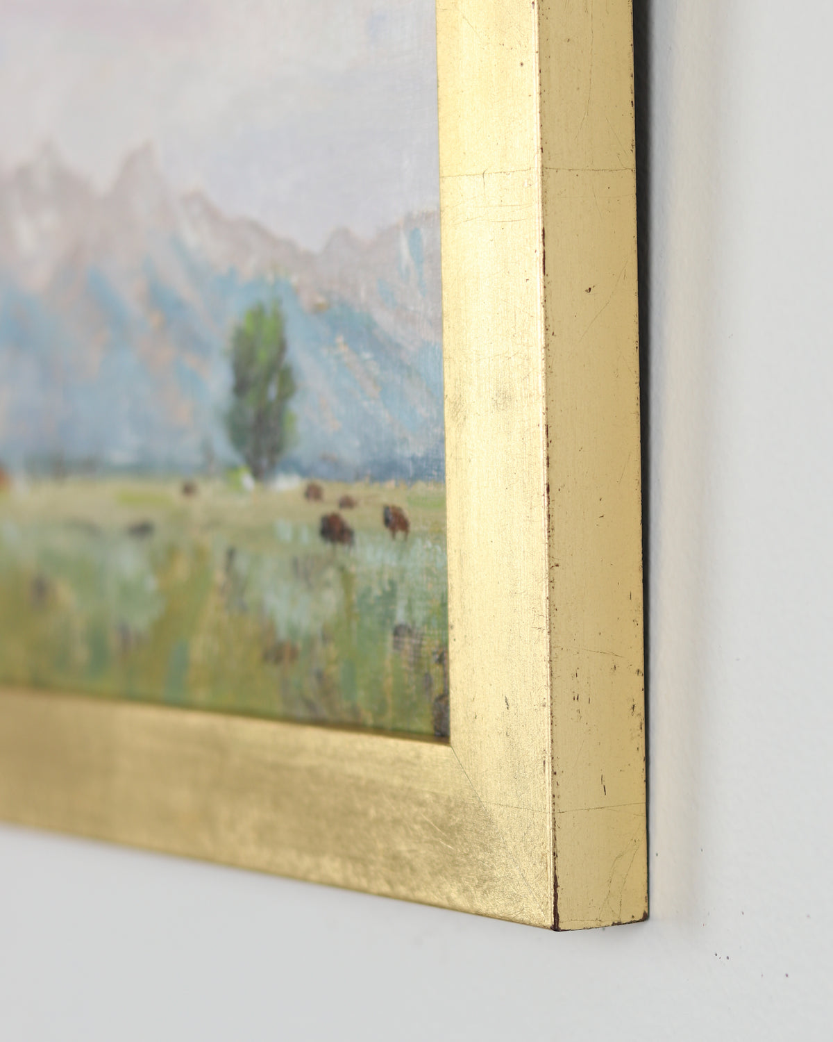 Mormon Row at Tetons