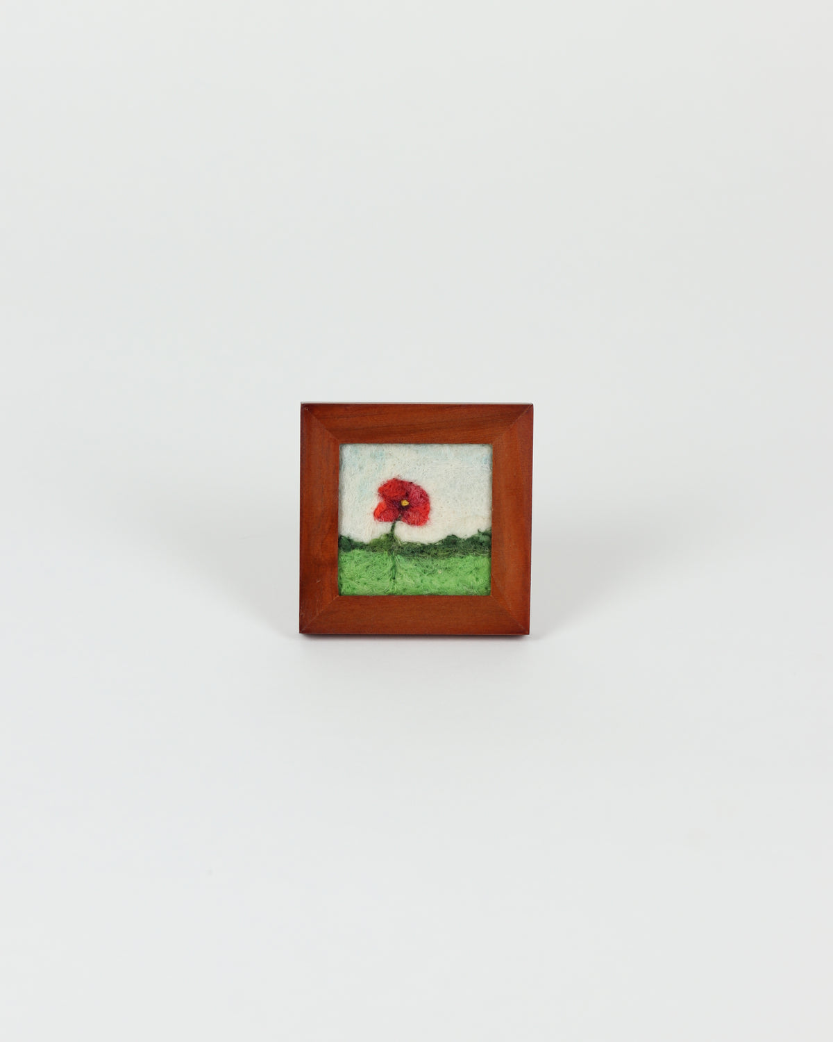Red Poppy