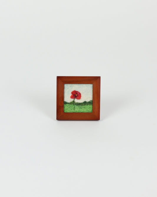 Red Poppy
