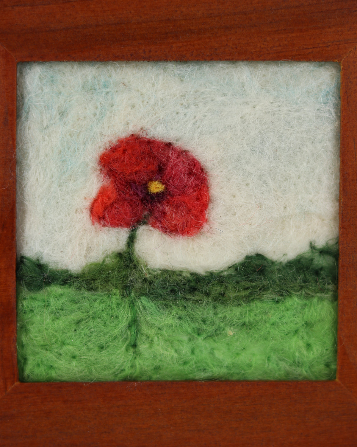Red Poppy
