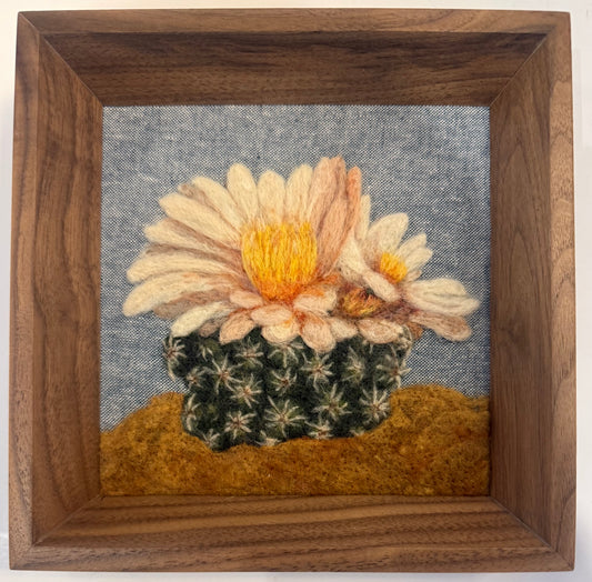 Blooming Cactus