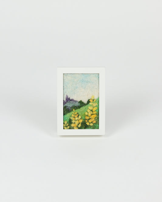 Yellow Mountain Lupines