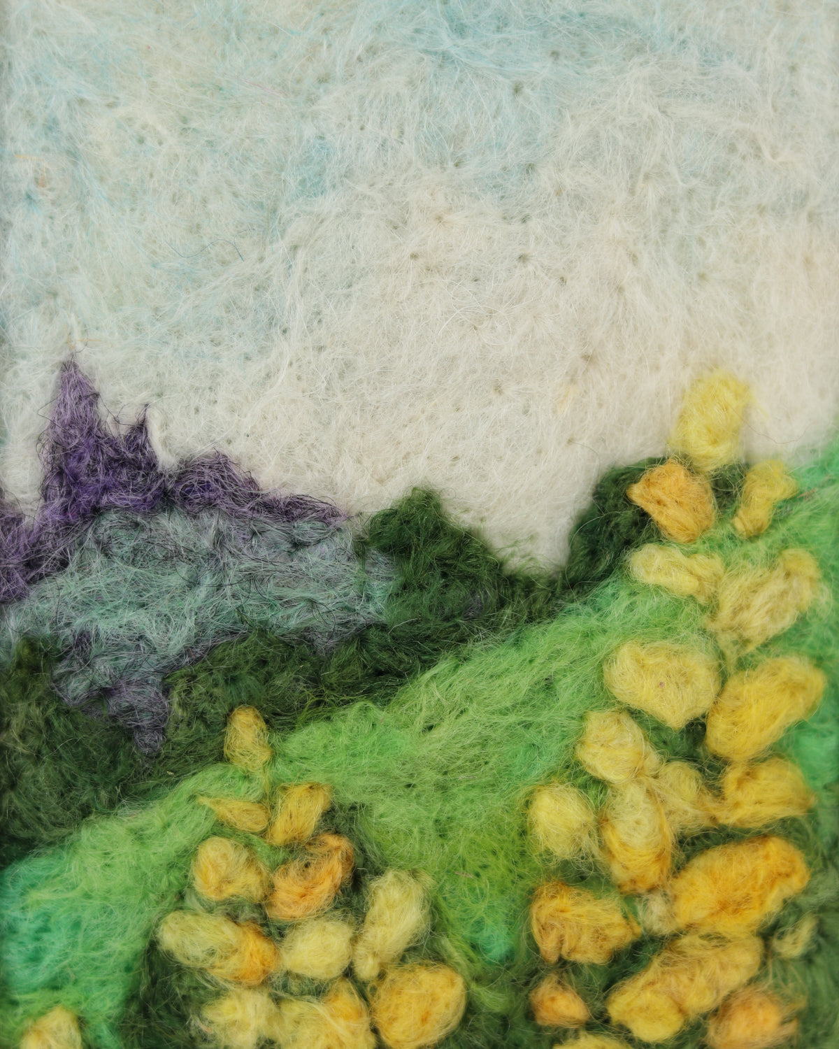 Yellow Mountain Lupines