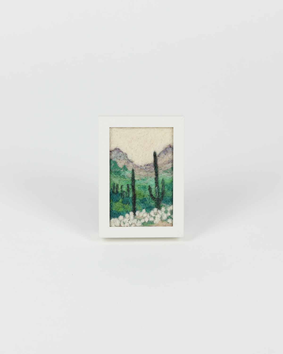 Sonoran Desert