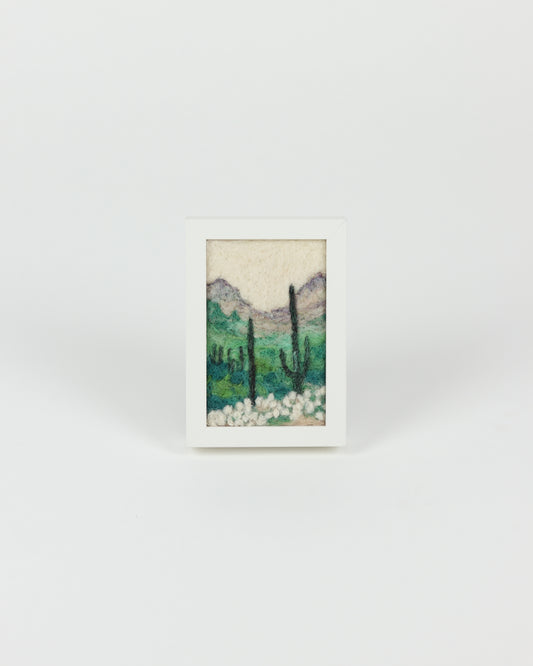 Sonoran Desert
