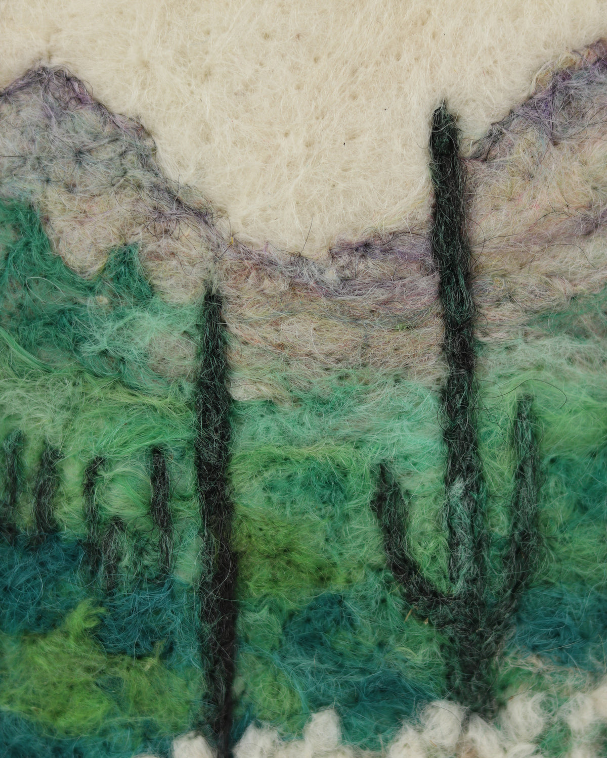 Sonoran Desert