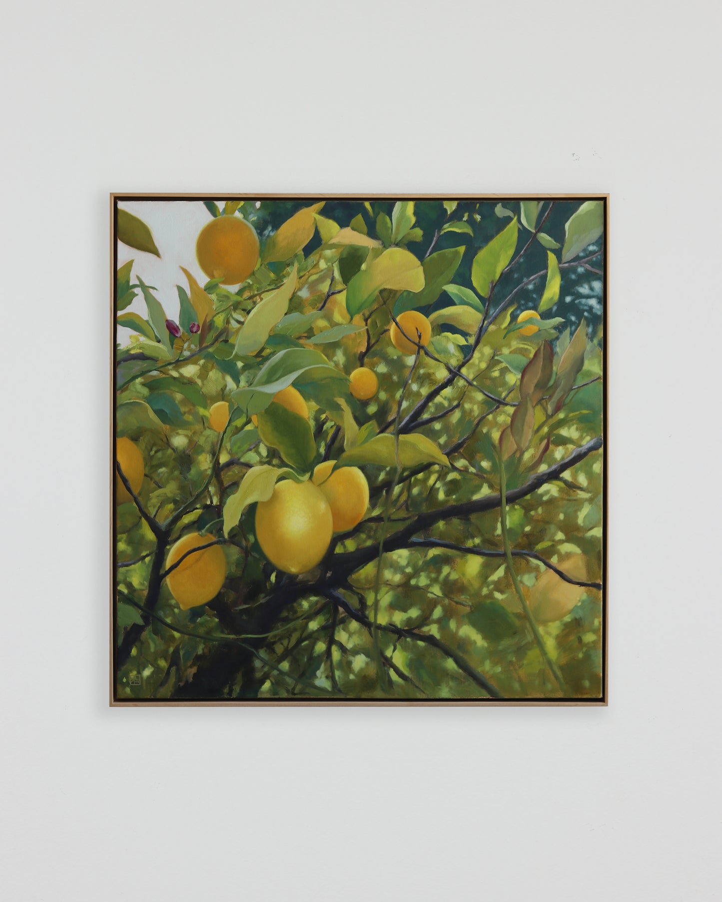 Meyer Lemons Prints