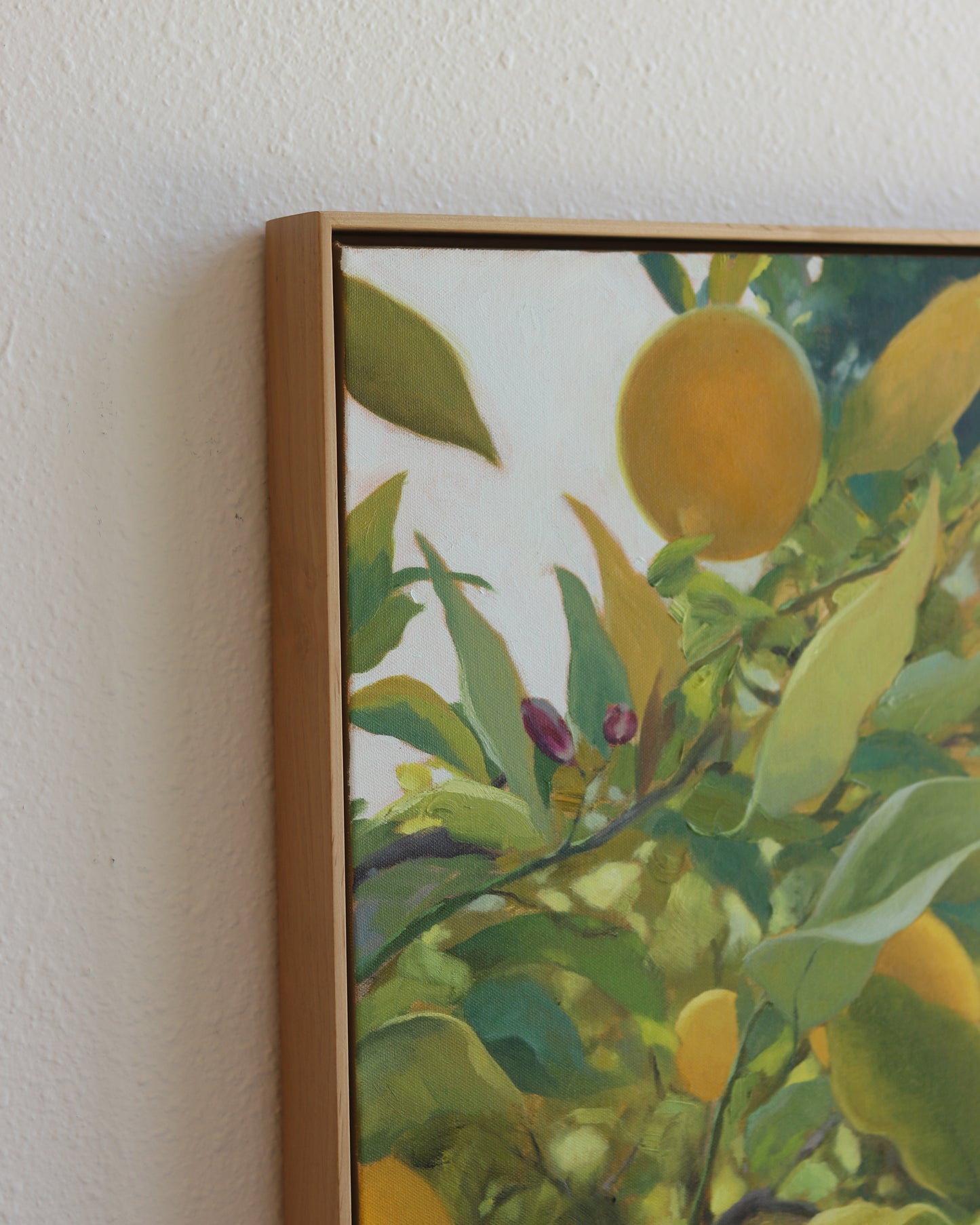 Meyer Lemons