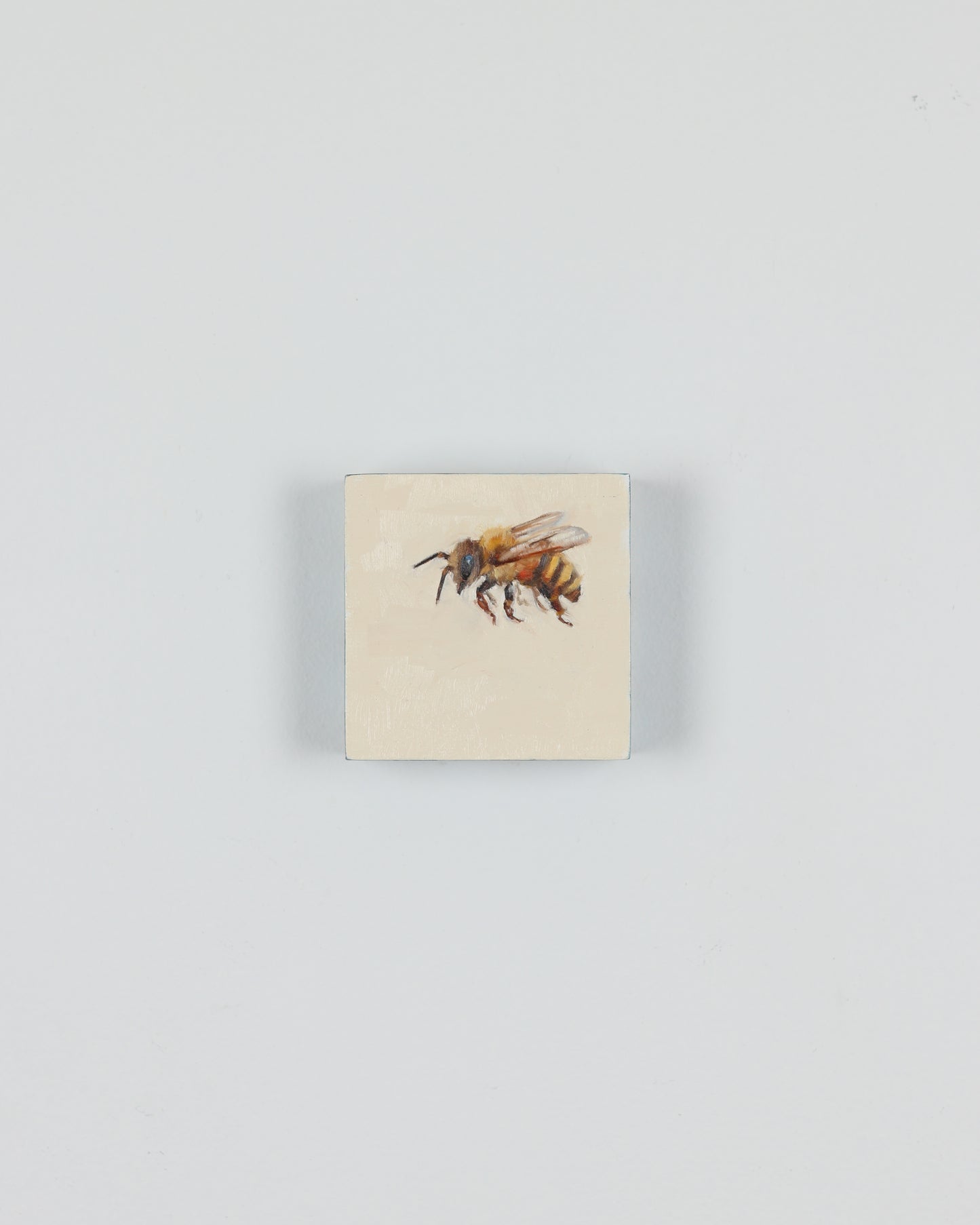 Honey Bee