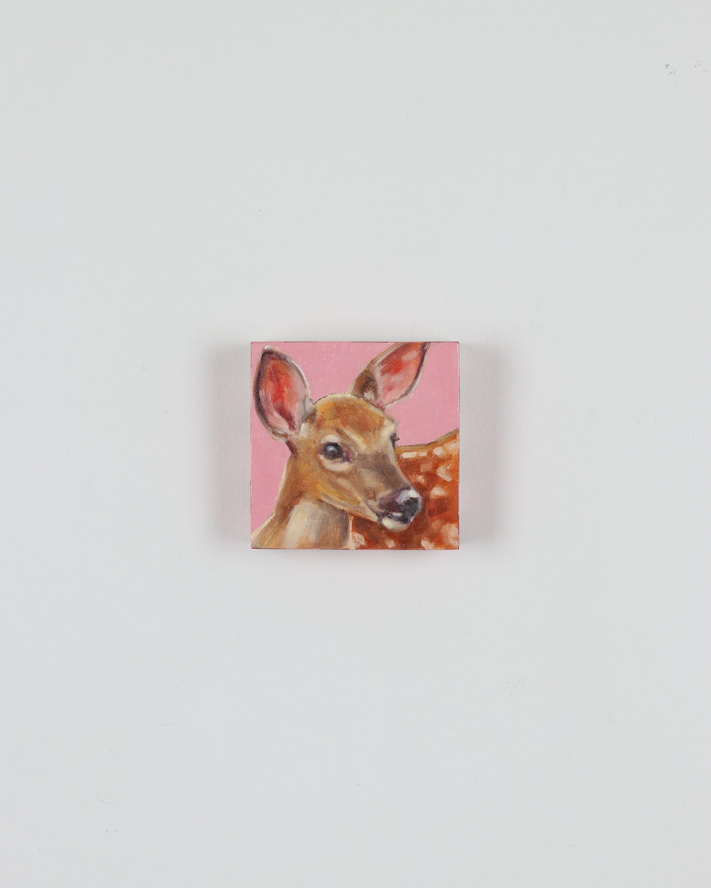 Oh Deer