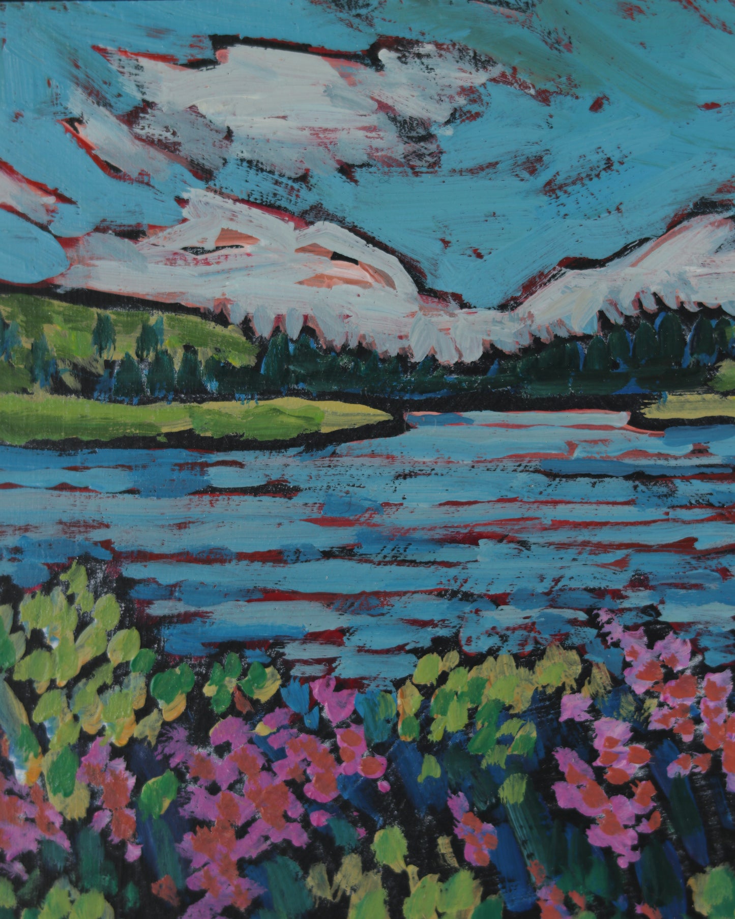Tony Grove Fireweed