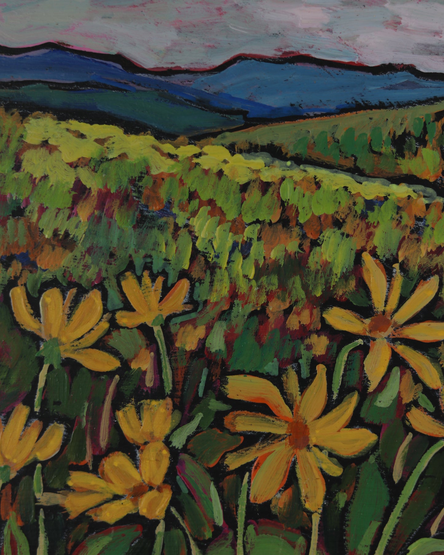 Mule's Ear Meadow