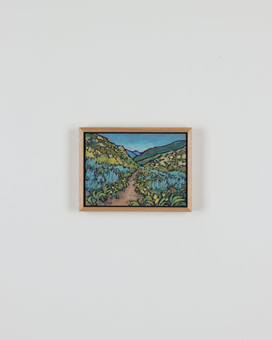 Mountain Trail