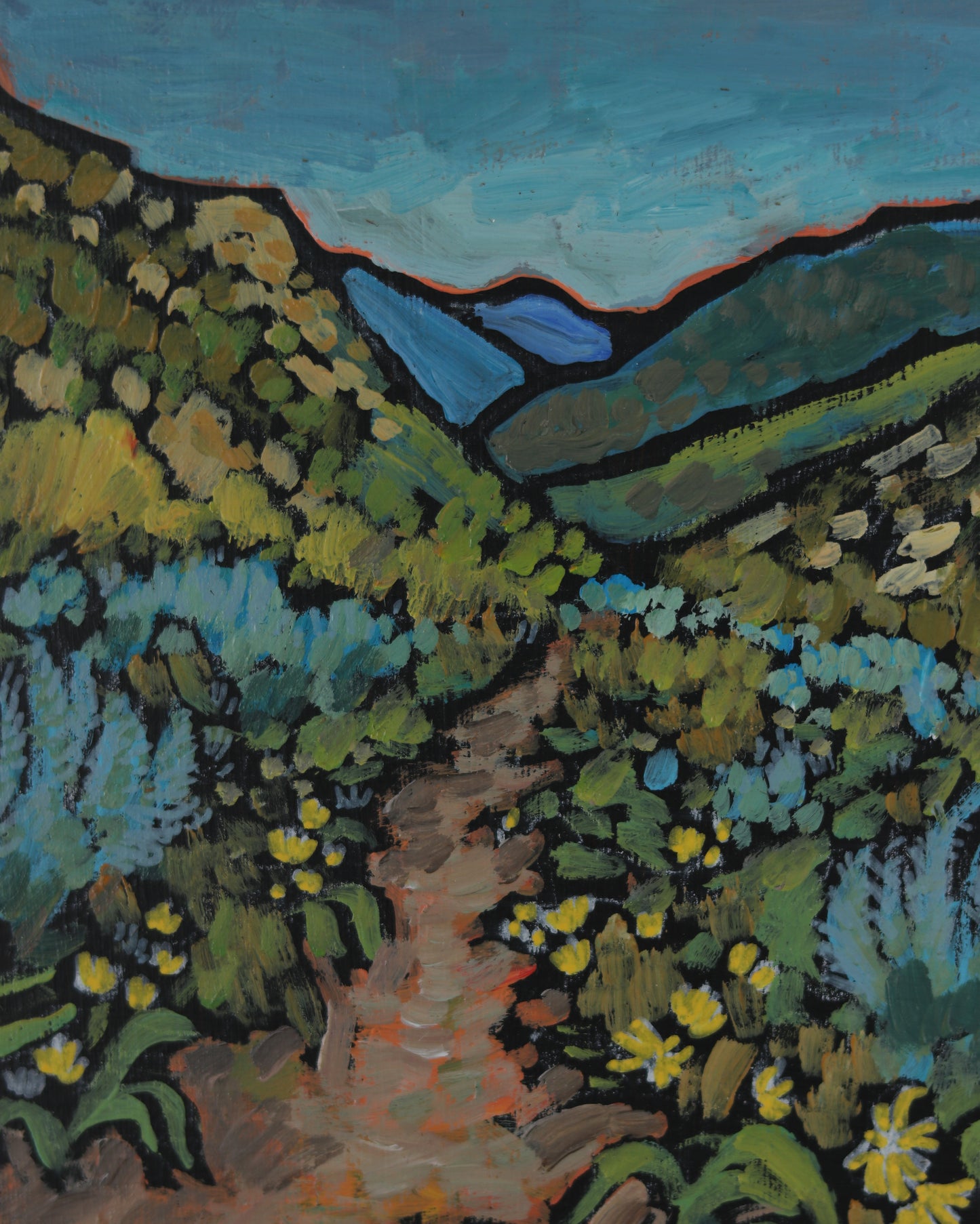 Mountain Trail