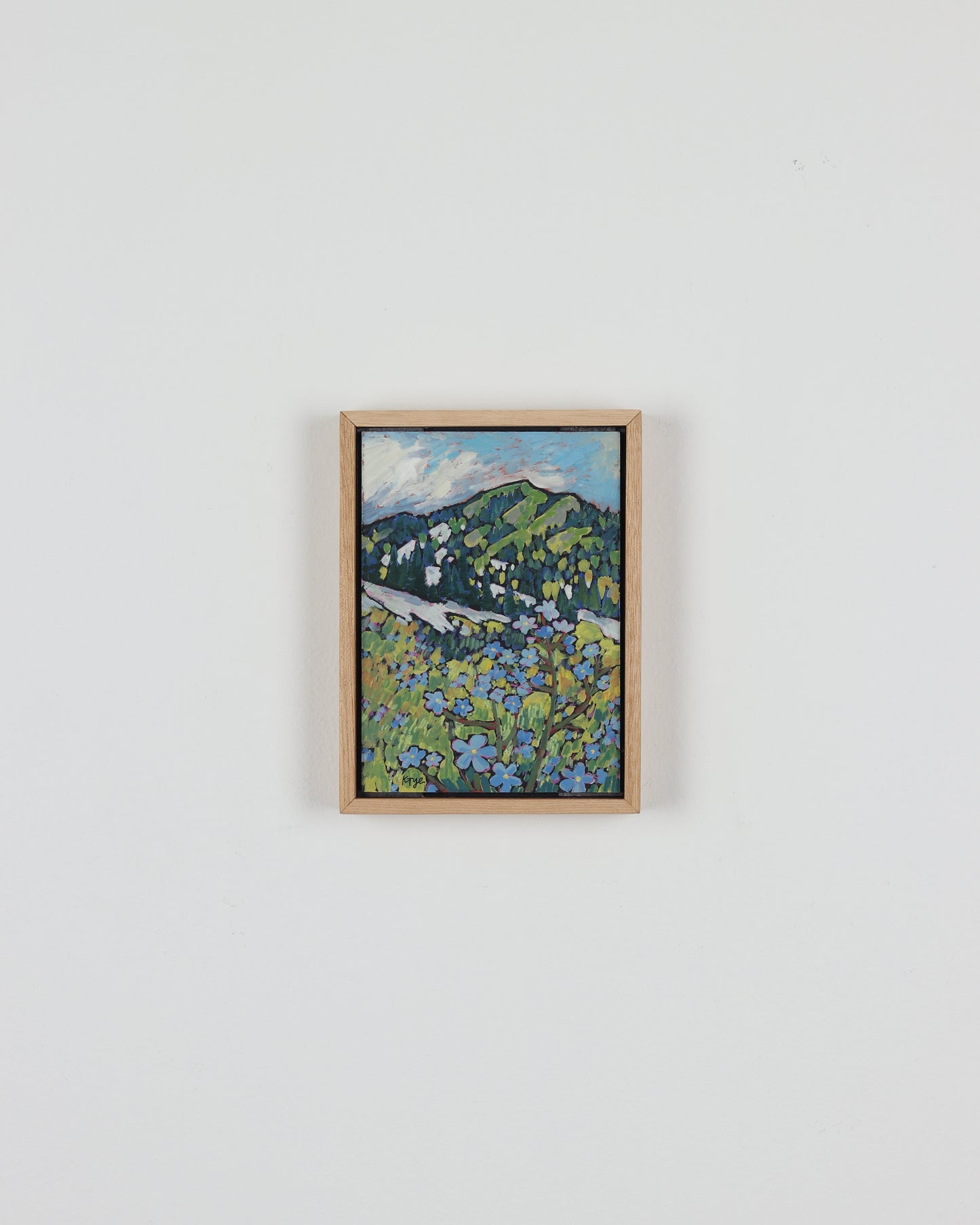 Alpine Forget Me Nots