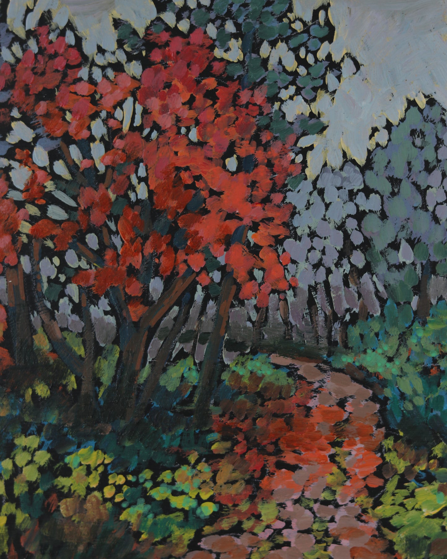 Fall Trail