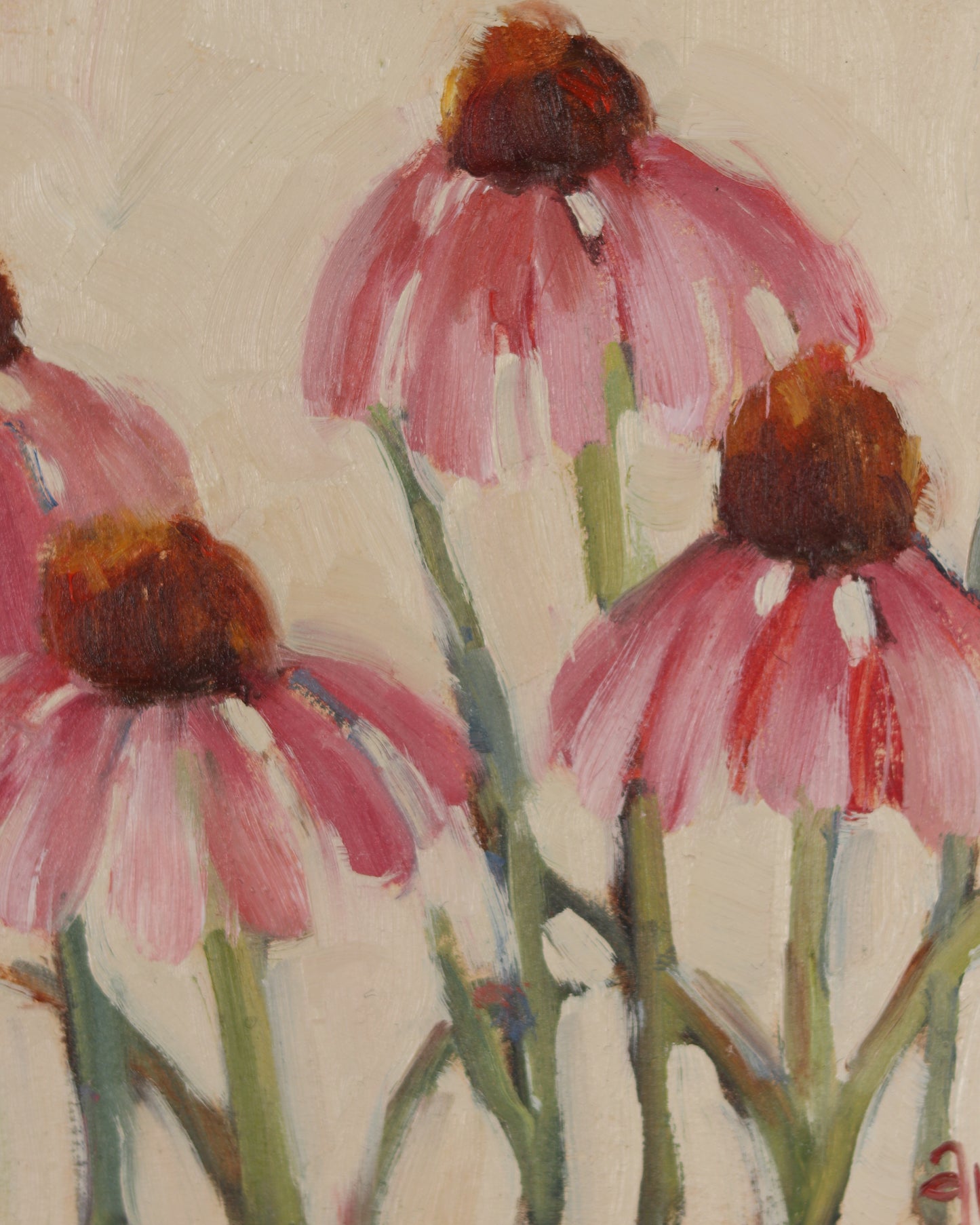 Coneflower 2
