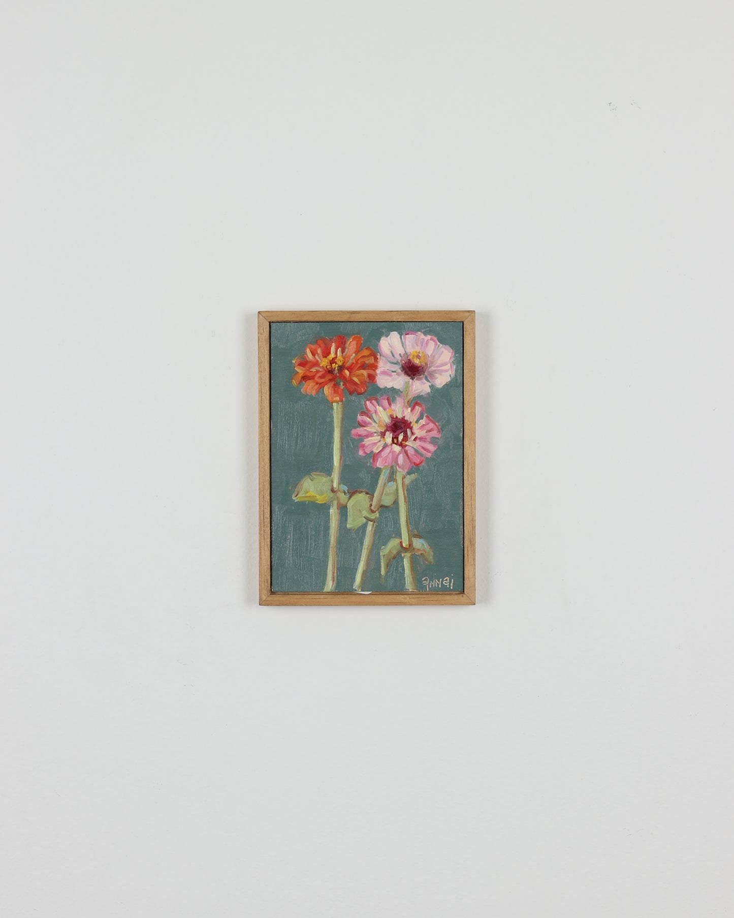 Three Zinnias