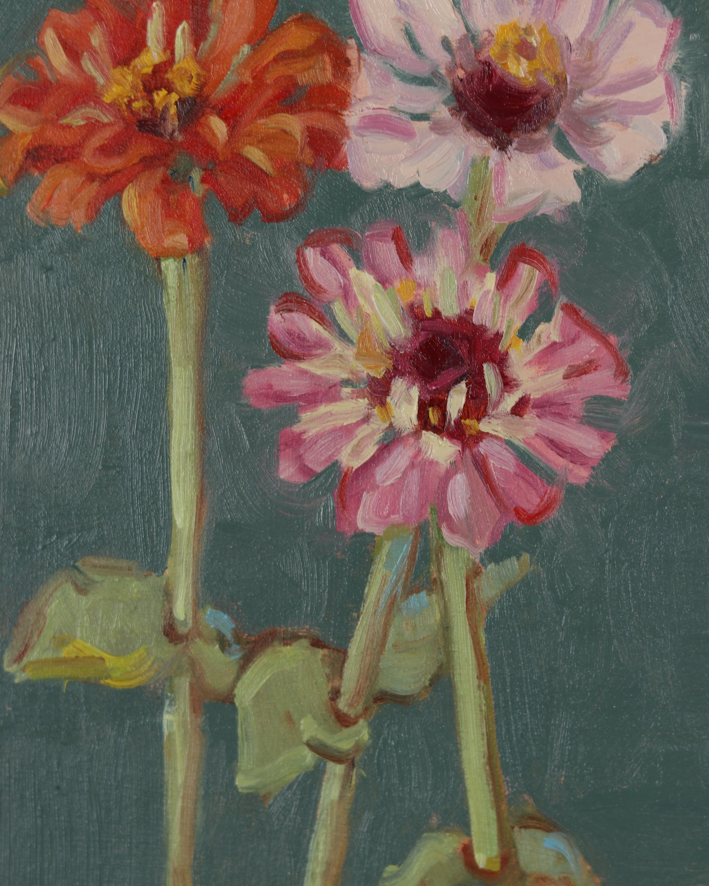 Three Zinnias