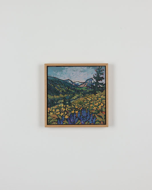 Lupine and Balsamroot