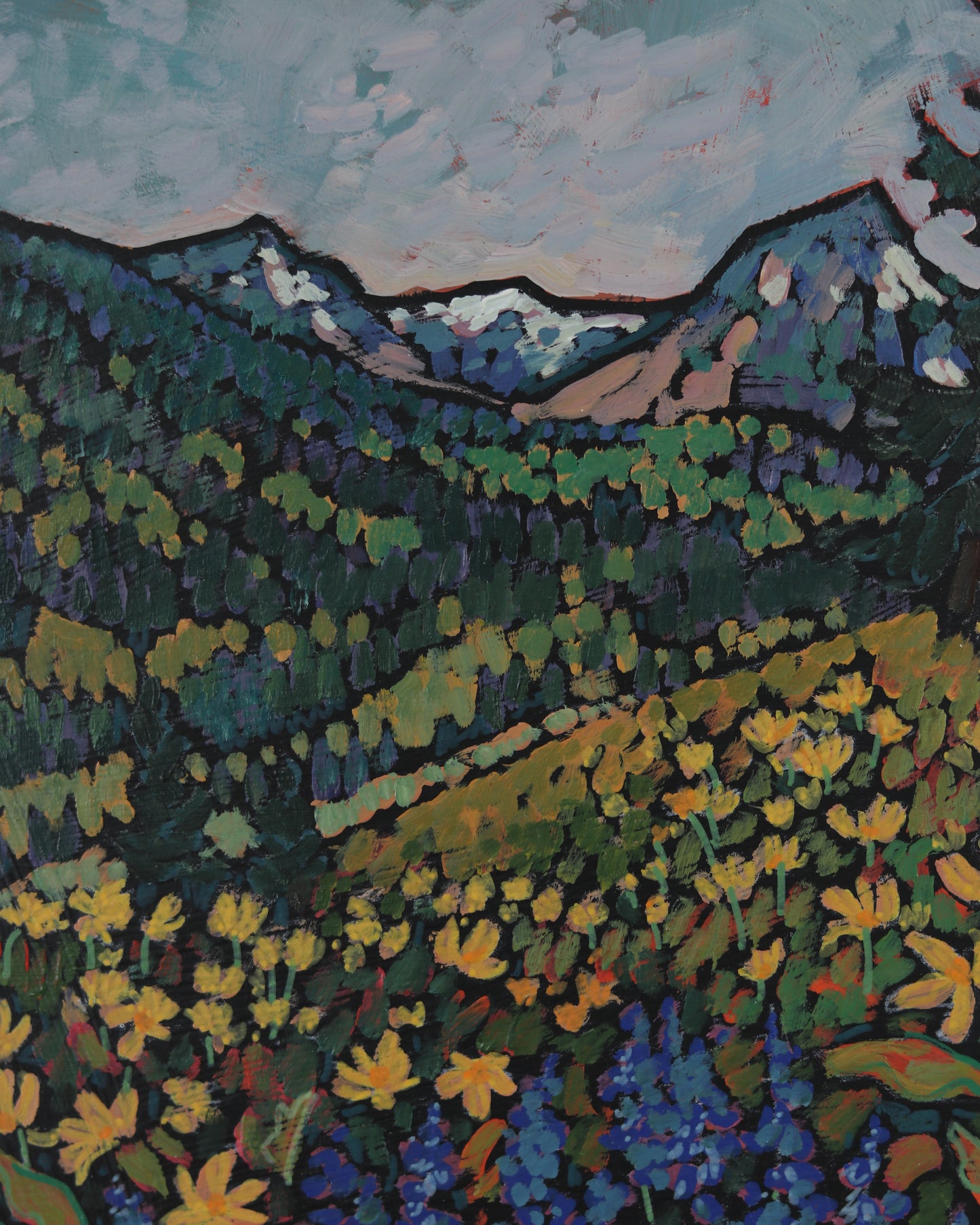 Lupine and Balsamroot
