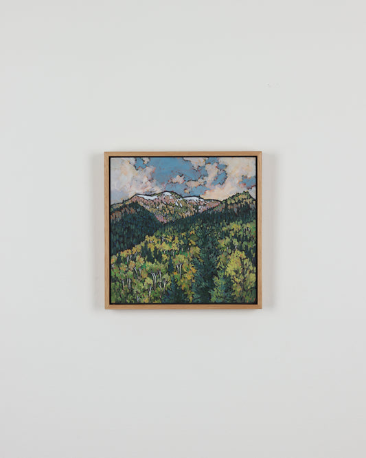 Pines and Aspens