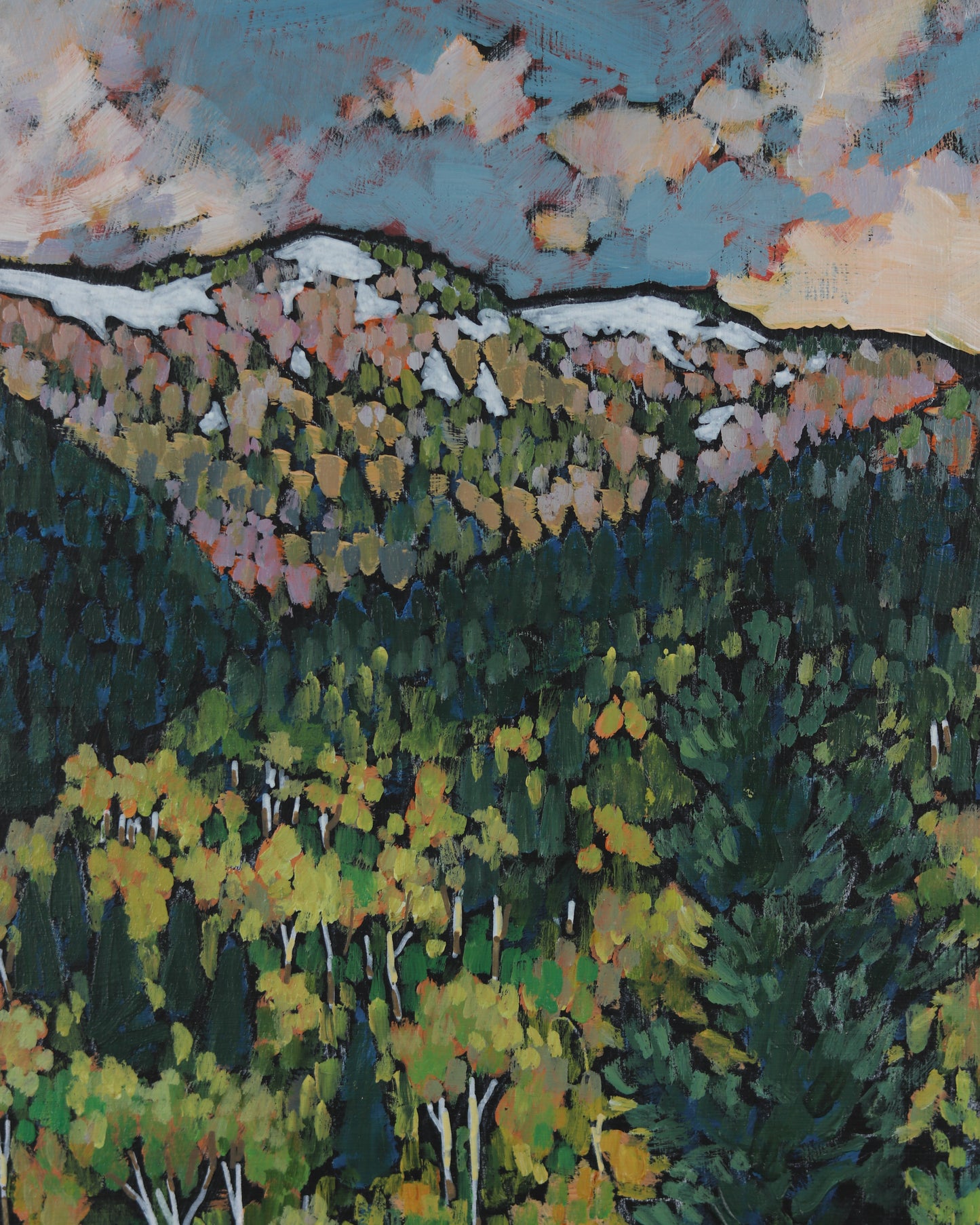 Pines and Aspens