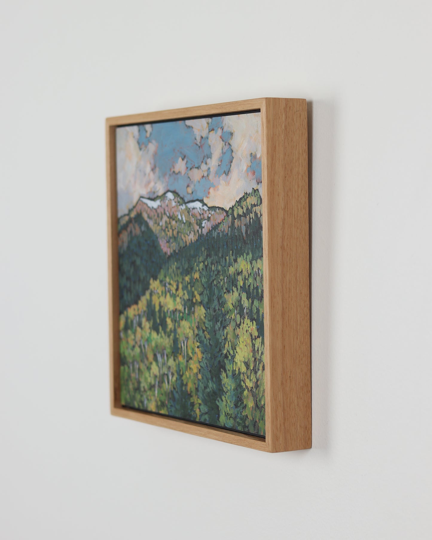Pines and Aspens