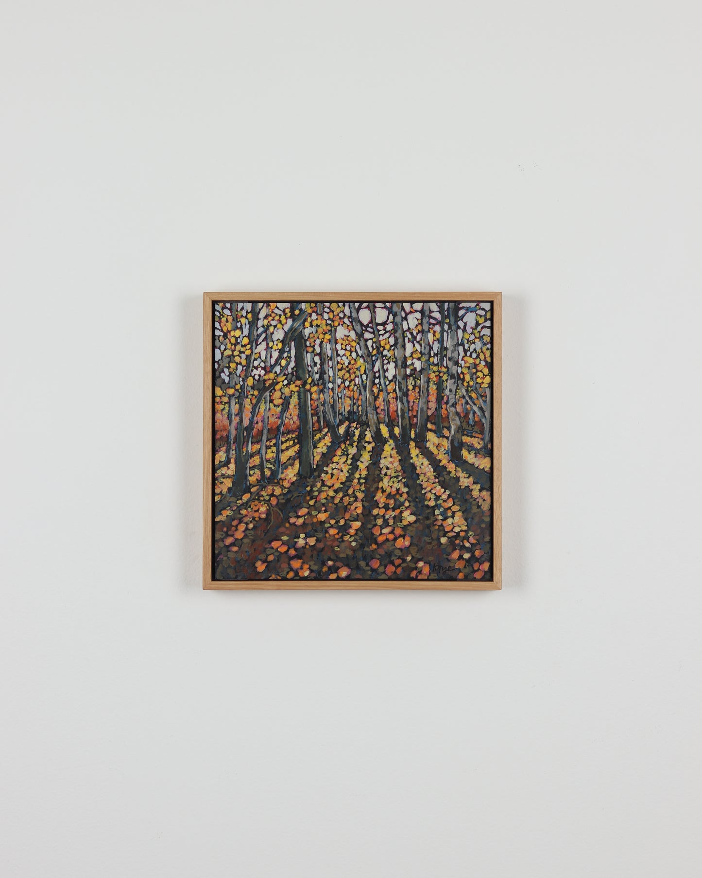 Fall Aspens