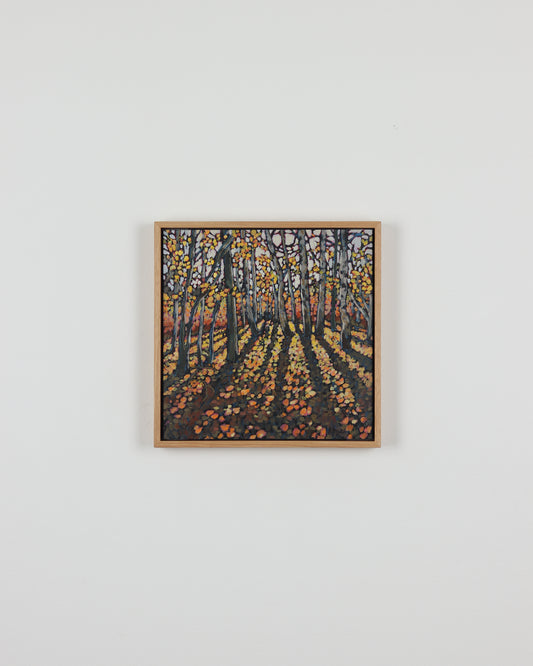 Fall Aspens