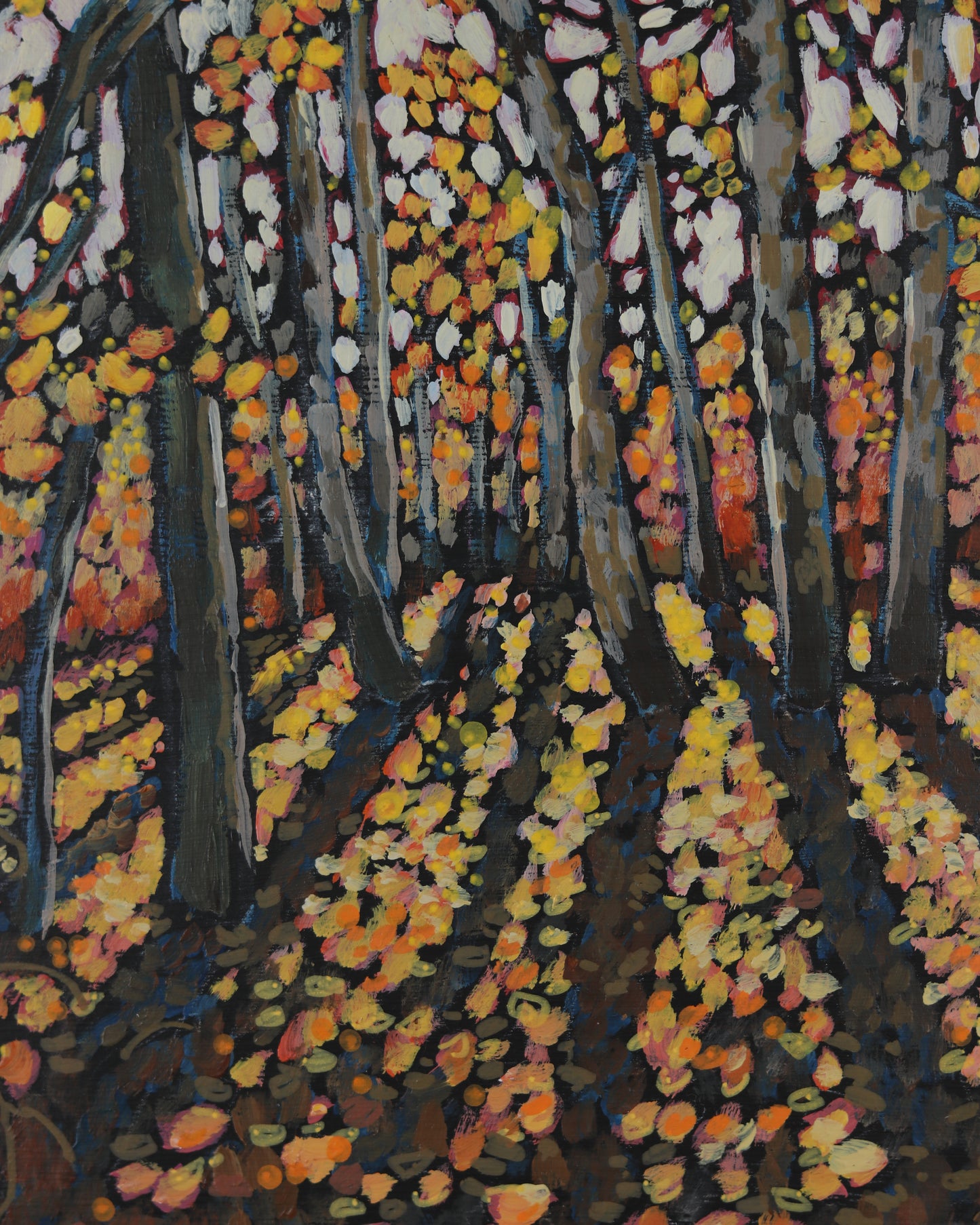Fall Aspens