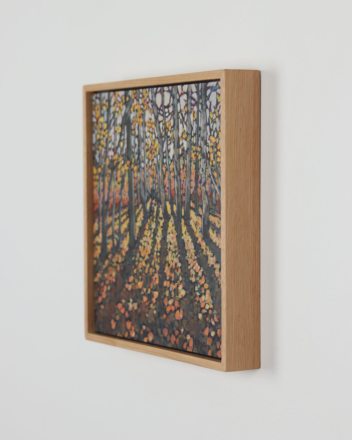 Fall Aspens