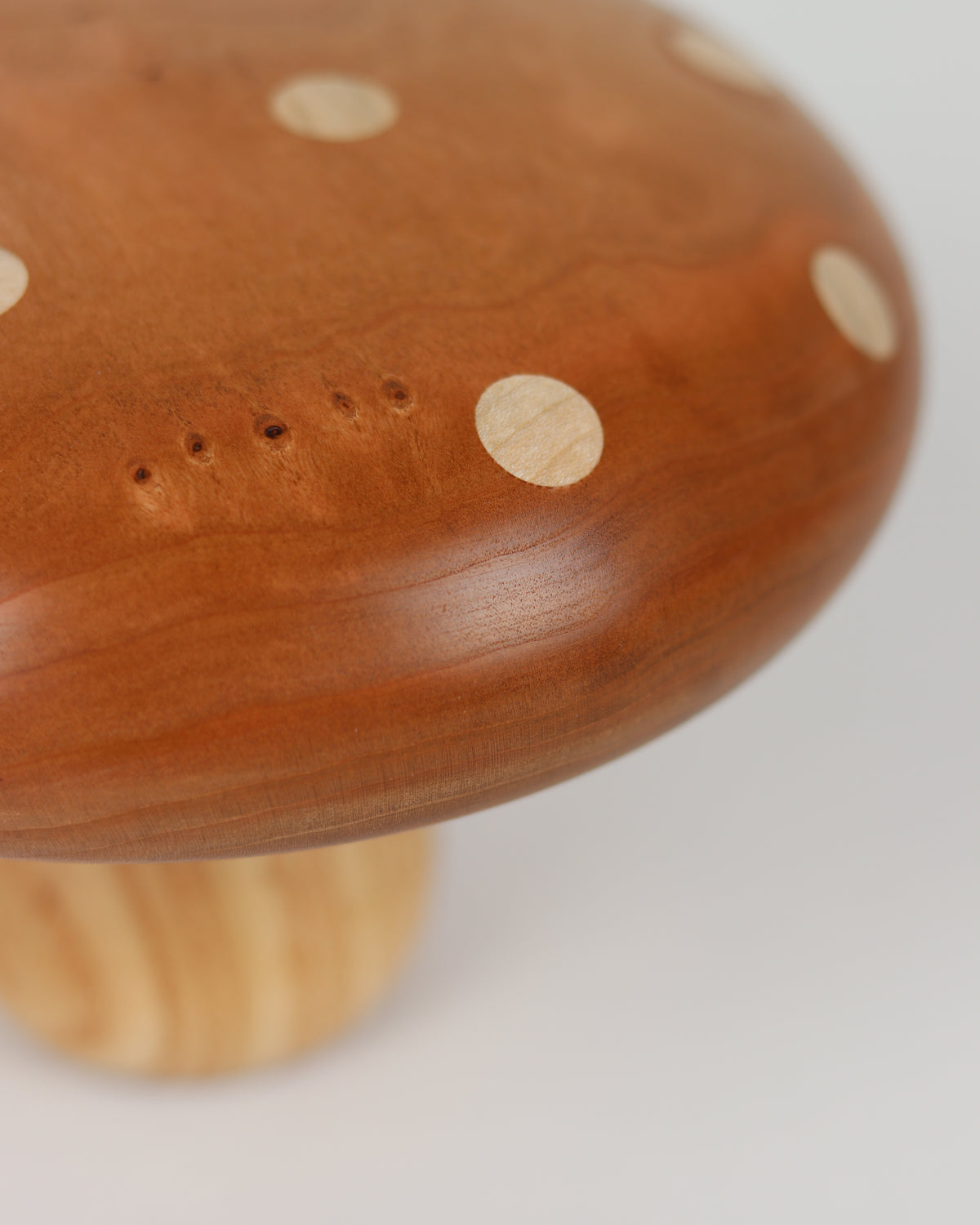 Polka Dot Wood Mushroom 1