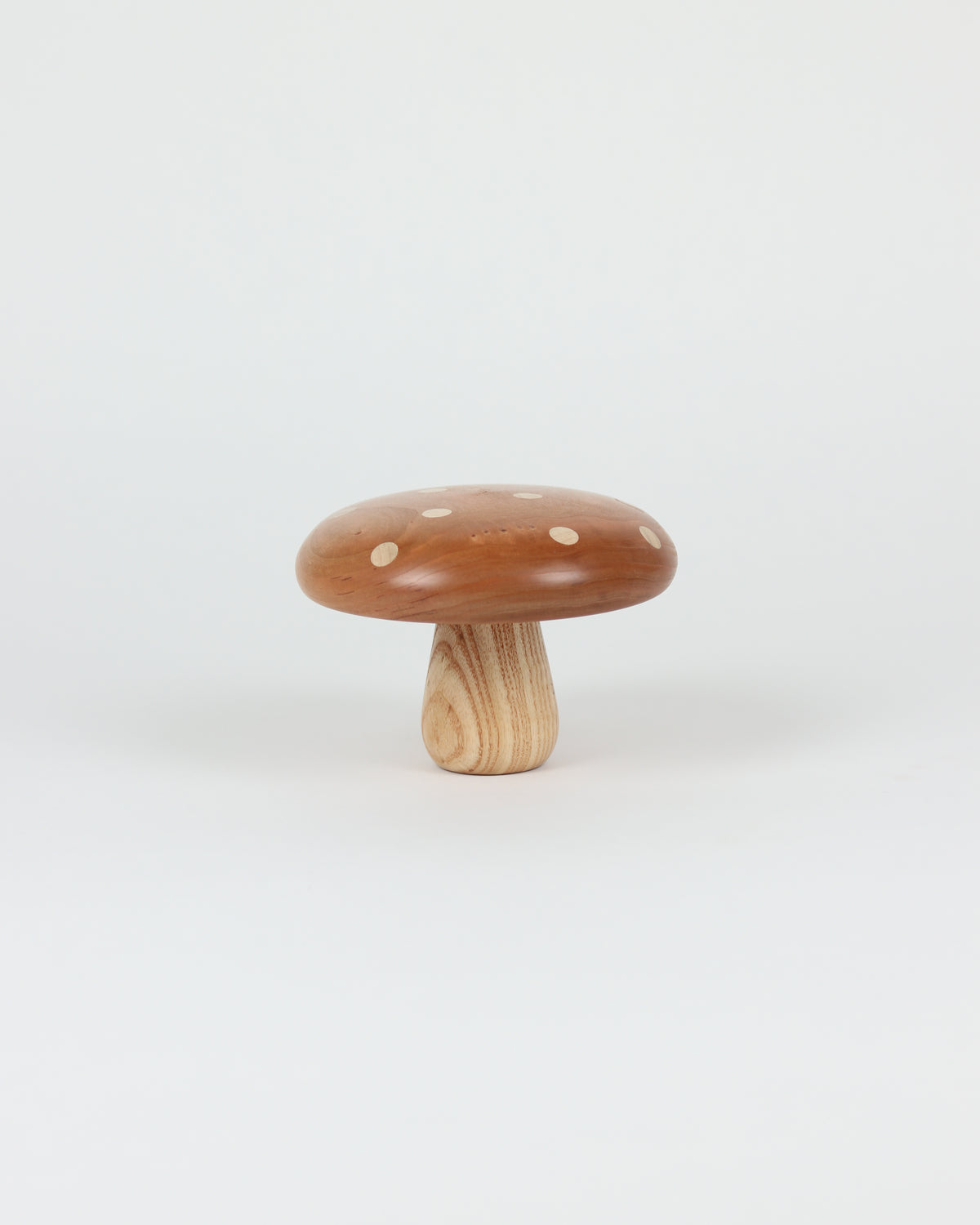 Polka Dot Wood Mushroom 1