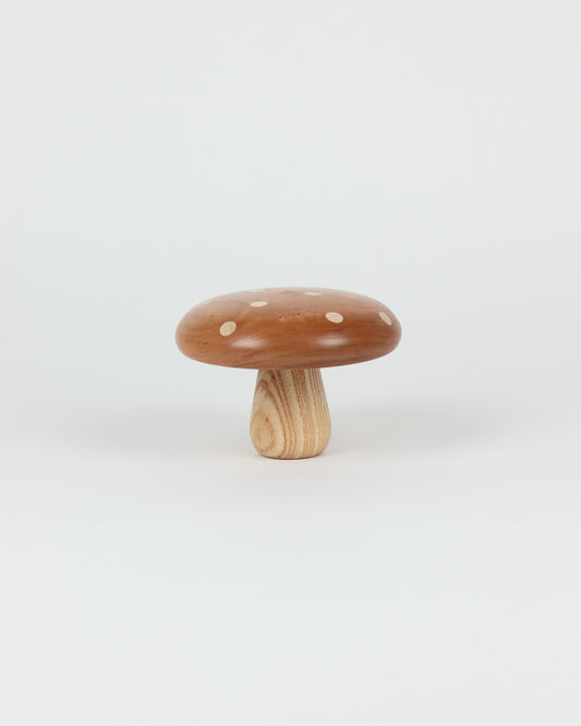 Polka Dot Wood Mushroom 1