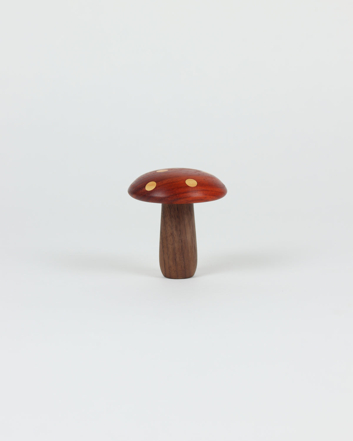 Spotted Wooden Mushroom