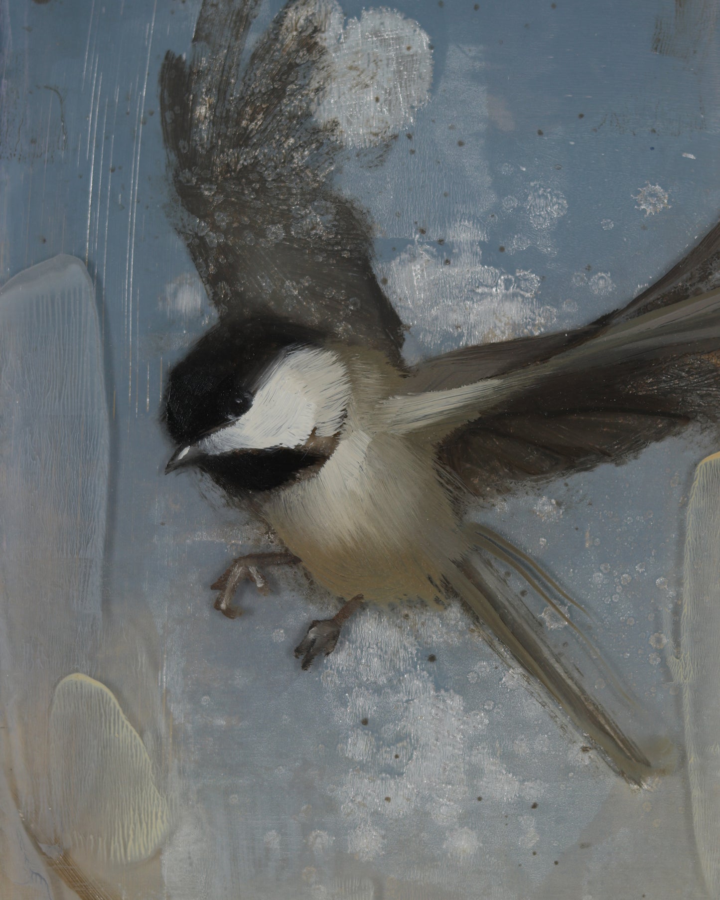 Chickadees