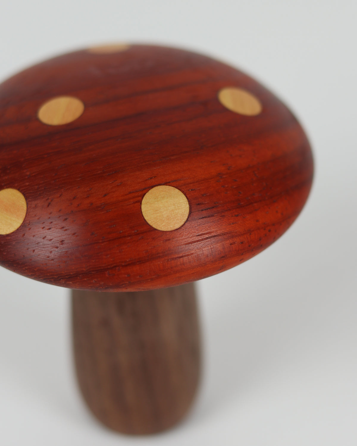 Spotted Wooden Mushroom